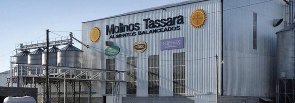 nosotros_molinostassara